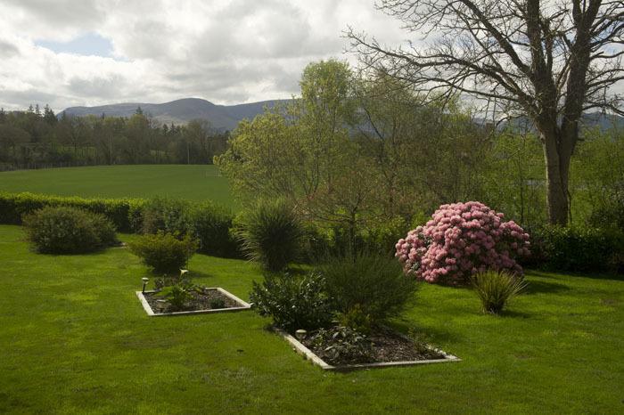 Bed and Breakfast Reeks View Teernaboul Exterior foto
